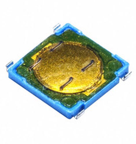PTS530 GG065 SMTR LFS